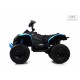Детский электроквадроцикл BRP Can-Am Renegade (Y333YY) синий