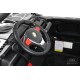 Детский электромобиль P333PP (Buggy) черный Spider