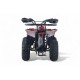 Детский квадроцикл LEON 49CC красный спайдер