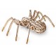 Конструктор деревянный 3D EWA SPIDER (Паук)