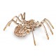 Конструктор деревянный 3D EWA SPIDER (Паук)