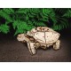 Конструктор деревянный 3D EWA Механическая Черепаха