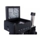 Микроскоп цифровой Levenhuk DTX TV LCD