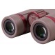 Бинокль Levenhuk Monaco ED 10x42
