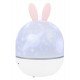Астропланетарий Levenhuk LabZZ Star Sky P1
