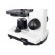 Микроскоп Levenhuk Rainbow D2L, 0,3 Мпикс, Moonstone\Лунный камень