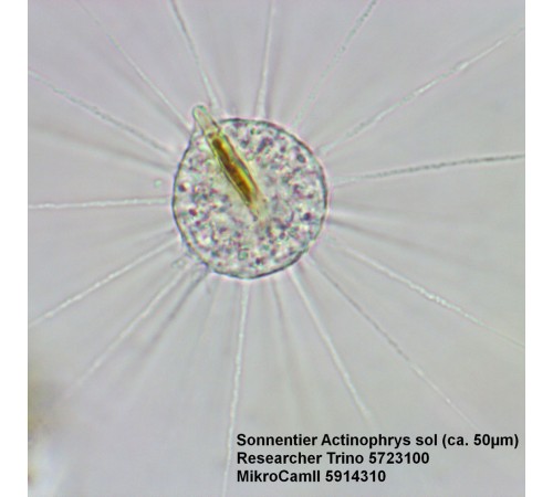 Микроскоп Bresser Researcher Trino Микроскоп Bresser Researcher Trino