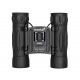 Бинокль Levenhuk Atom 10x25