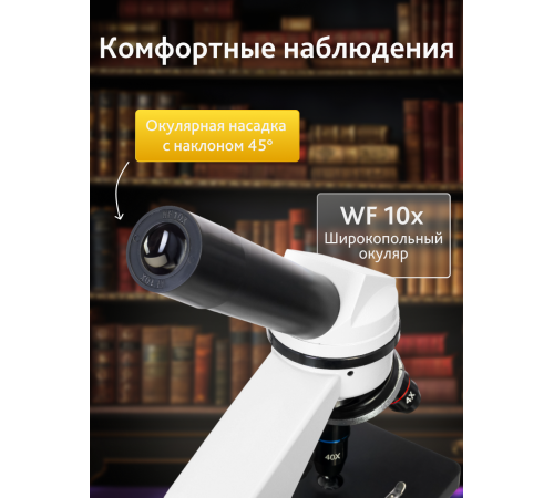 Микроскоп Levenhuk Rainbow 2L