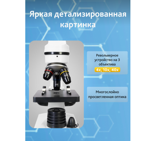 Микроскоп Levenhuk Rainbow 2L