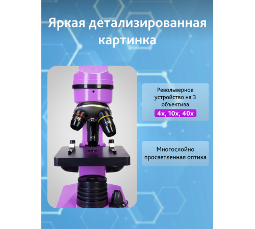 Микроскоп Levenhuk Rainbow 2L