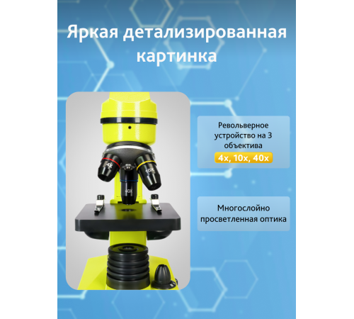 Микроскоп Levenhuk Rainbow 2L