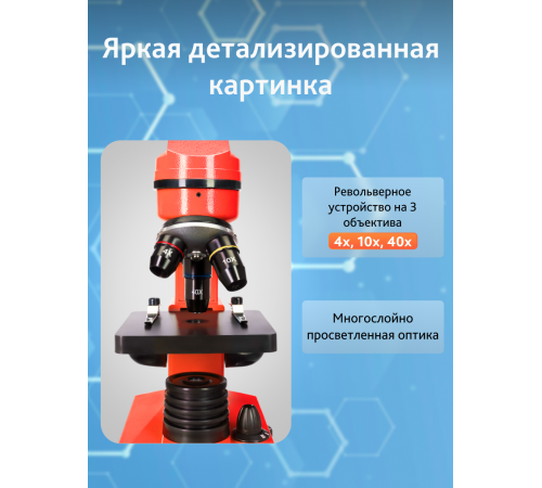 Микроскоп Levenhuk Rainbow 2L