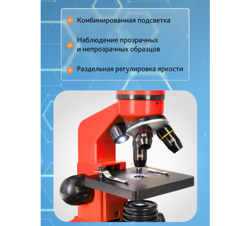 Микроскоп Levenhuk Rainbow 2L