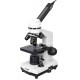 Микроскоп Levenhuk Rainbow D2L, 0,3 Мпикс, Moonstone\Лунный камень