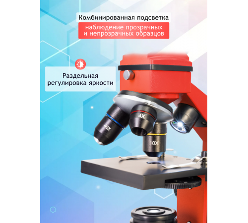 Микроскоп Levenhuk Rainbow 2L PLUS