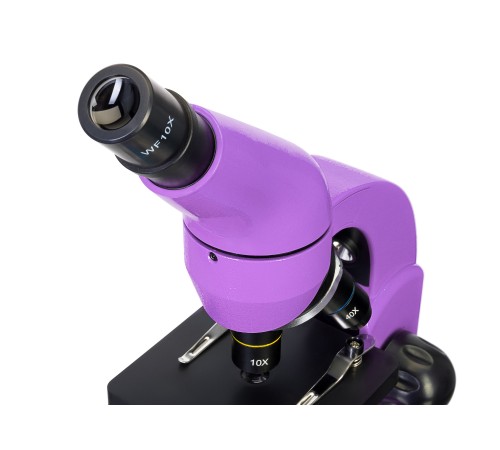 Микроскоп Levenhuk Rainbow 50L