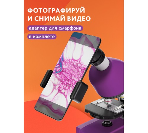 Микроскоп Bresser Junior 40–640x