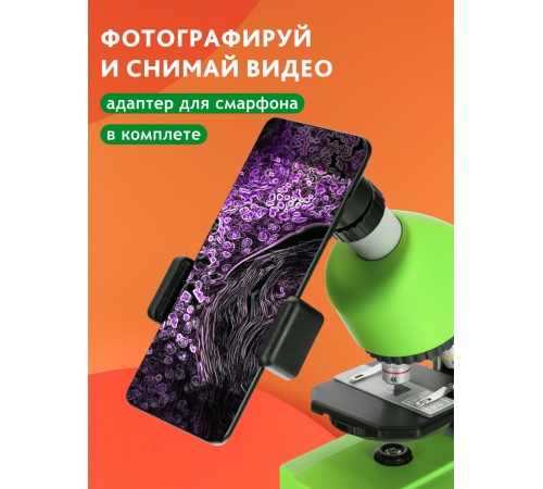 Микроскоп Bresser Junior 40–640x