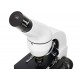 Микроскоп Levenhuk Rainbow D50L PLUS, 2 Мпикс, Moonstone\Лунный камень