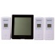 Метеостанция Bresser Temeo Hygro Quadro, черная