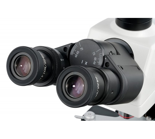 Микроскоп цифровой Levenhuk MED D40T, тринокулярный