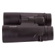 Бинокль Levenhuk Karma BASE 10x42