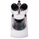 Микроскоп стереоскопический Bresser Erudit ICD 20x/40x