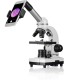 Микроскоп Bresser Junior Biolux SEL 40–1600x, белый, в кейсе
