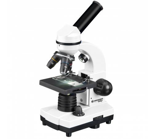 Микроскоп Bresser Junior Biolux SEL 40–1600x, белый, в кейсе Микроскоп Bresser Junior Biolux SEL 40–1600x, белый, в кейсе