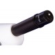 Микроскоп Bresser Junior Biolux 40–2000x