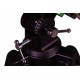 Телескоп Sky-Watcher MAK102/1300 StarQuest EQ1