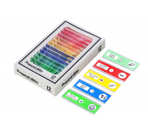 Микроскоп цифровой Levenhuk Rainbow DM500 LCD