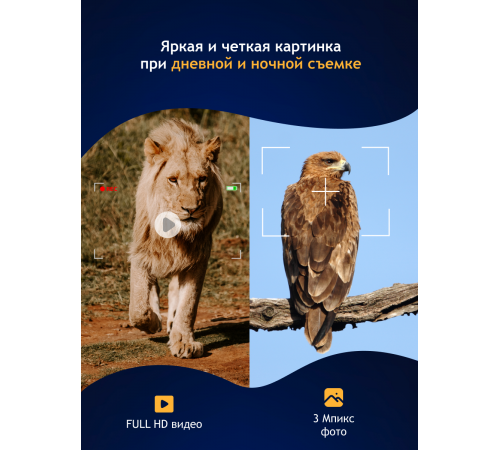 Бинокль цифровой ночного видения Levenhuk Halo 13X