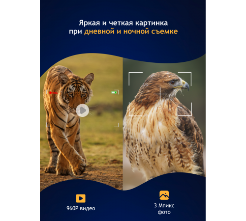 Бинокль цифровой ночного видения Levenhuk Halo 13X Wi-Fi