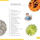 Микроскоп Levenhuk Discovery Micro с книгой
