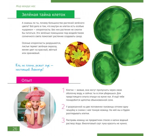 Микроскоп Levenhuk Discovery Micro с книгой Микроскоп Levenhuk Discovery Micro с книгой