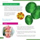 Микроскоп Levenhuk Discovery Nano Terra с книгой