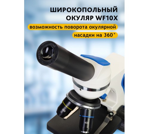 Микроскоп Levenhuk Discovery Pico с книгой Микроскоп Levenhuk Discovery Pico с книгой