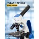 Микроскоп Levenhuk Discovery Pico с книгой