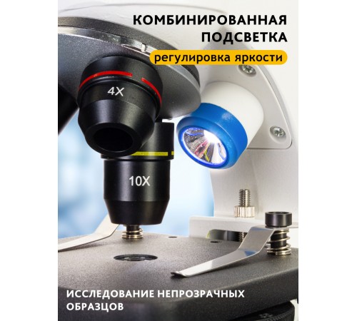Микроскоп Levenhuk Discovery Pico с книгой Микроскоп Levenhuk Discovery Pico с книгой