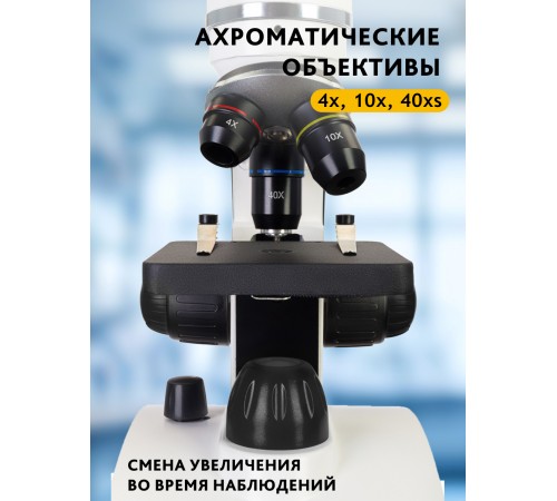Микроскоп цифровой Levenhuk Discovery Pico Polar с книгой