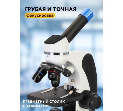 Микроскоп цифровой Levenhuk Discovery Pico Polar с книгой