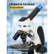 Микроскоп цифровой Levenhuk Discovery Pico Polar с книгой