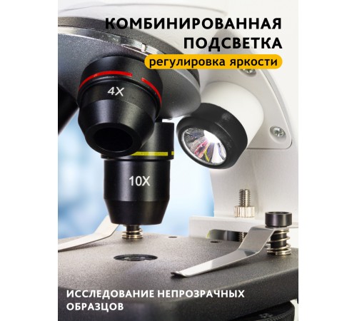 Микроскоп цифровой Levenhuk Discovery Pico Polar с книгой