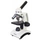 Микроскоп Levenhuk Discovery Femto Polar с книгой