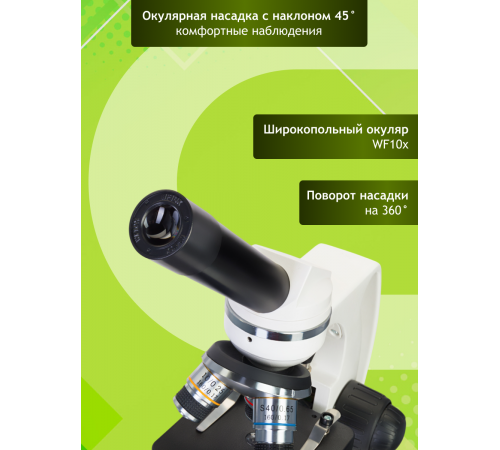 Микроскоп Levenhuk Discovery Femto Polar с книгой Микроскоп Levenhuk Discovery Femto Polar с книгой