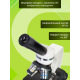 Микроскоп Levenhuk Discovery Femto Polar с книгой