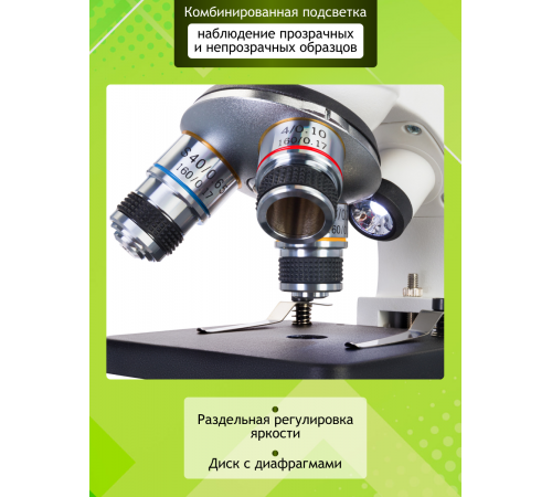 Микроскоп Levenhuk Discovery Femto Polar с книгой Микроскоп Levenhuk Discovery Femto Polar с книгой