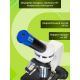 Микроскоп цифровой Levenhuk Discovery Femto Polar с книгой